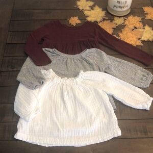 Toddler girl shirt bundle